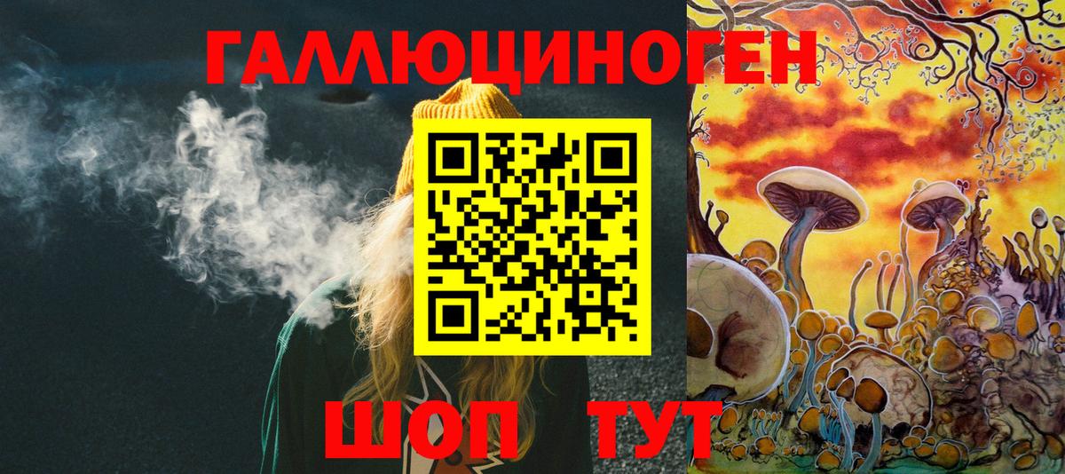Галлюциногенные грибы Psilocybe  Вход с VPN  Долгопрудный 