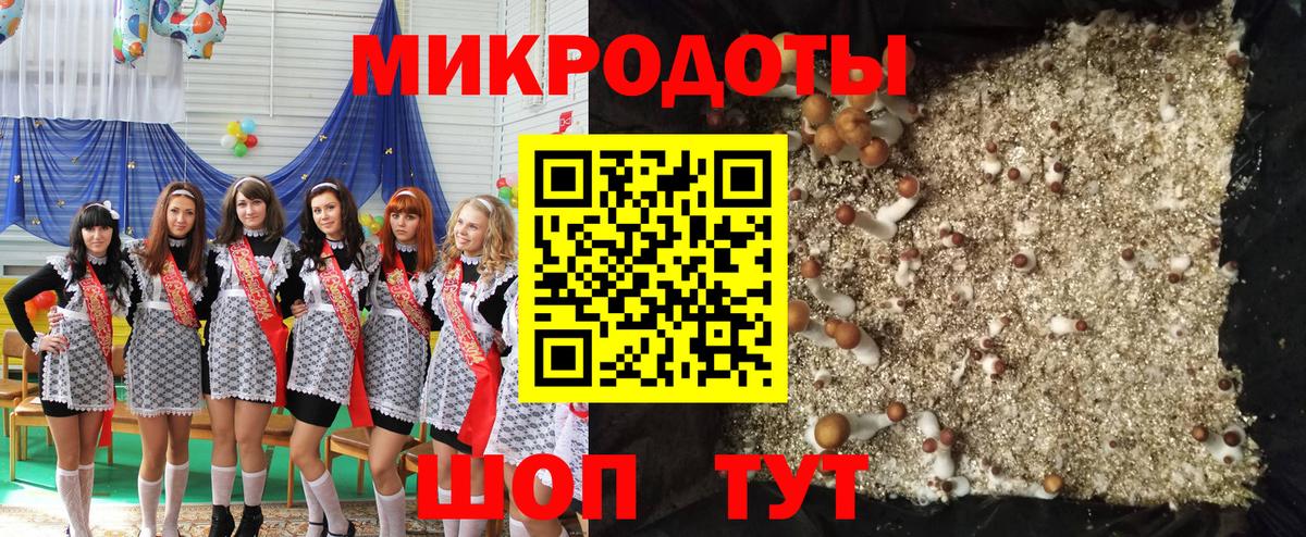 Псилоцибиновые грибы GOLDEN TEACHER Долгопрудный